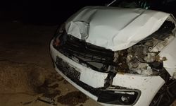 Otomobilin çarptığı çoban yaralandı