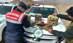 Kars'ta keklik avına 102 bin 609 lira ceza