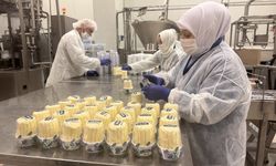 Konya'da üretilen süt ve süt ürünleri 15 ülkeye ihraç ediliyor