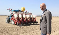 Karaman’da mahsul ekimindeki artış endişelendiriyor