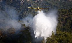Orman teşkilatı yangınlarla mücadeleye hazır