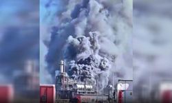 Fransa'da yağlı tohum işleme tesisinde patlama