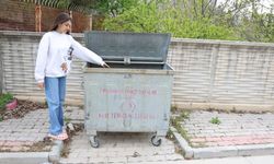 Konya'da vicdansızlığın böylesi! Yavru kedileri çöpe attılar