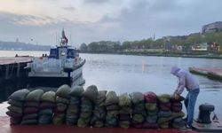 İstanbul'da kaçak midye avına para cezası