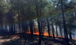 Antalya'da ormanlık alanda yangın
