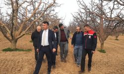 Seçen, Beyşehir'e elma bahçesini gezdi
