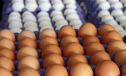 Yumurta fiyatları "mayıs çukuru"na düştü