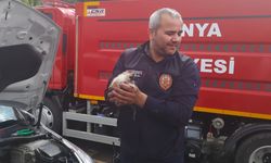 Otomobilin motor kısmında sıkışan kedi yavrusu kurtarıldı