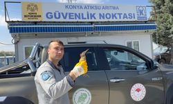 Yaralı bulunan balaban kuşu koruma altına alındı