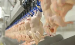 Beyaz et üreticilerine dev ceza: 1,2 milyar lira