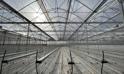 Agro Termal, 1 milyon metrekarelik hedefine hızla ilerliyor
