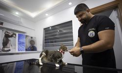 Yeni ayağına kavuştu