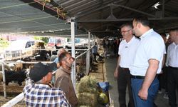 Seydişehir'de hayvanlar için yeni pazar