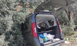 Hafif ticari araç ağaçlara çarptı: 4 yaralı