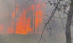 Amasya’da korkutan orman yangını