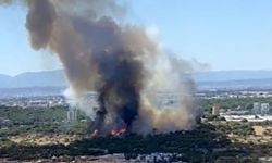 Antalya'da orman yangın