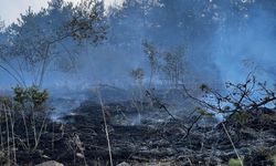 Kastamonu’da orman yangını: 2 hektarlık alan zarar gördü