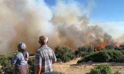 Aydın'da orman yangını çıktı