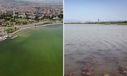 İzmir'de denizin rengi değişti