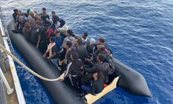 75 düzensiz göçmen yakalandı
