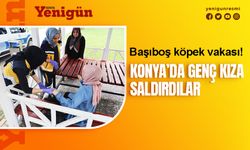 Konya'da başıboş köpek dehşeti!