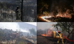 Dünya genelinde orman yangınları sürüyor