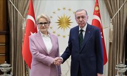 Erdoğan, Meral Akşener'i kabul etti