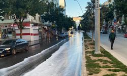 Ereğli'de caddeler temizleniyor