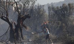 Yunanistan'da orman yangınları sürüyor