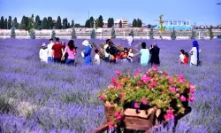Konya'da doğal fotoğraf stüdyosu açıldı!