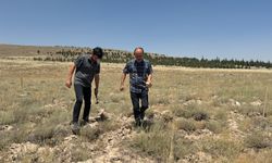 Araziden toplanan taşlar ehil ellerde değerini buluyor