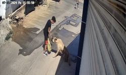 Besle kargayı, oysun gözünü!