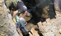 Konya'da inek ve eşek çukurdan kurtarıldı
