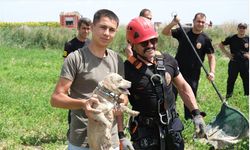 Konya'da obruğa düşen köpek kurtarıldı