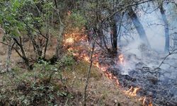Karabük'te ormanlık alanda yangın