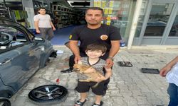 Konya'da otomobilin motor kısmına giren yavru köpeği itfaiye kurtardı