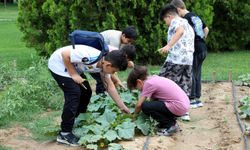 Tabiatın içinde eğlenip öğreniyorlar