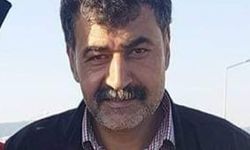 Kestiği ağacın altında kaldı