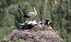Leylekler Vadisi sessizliğe büründü!