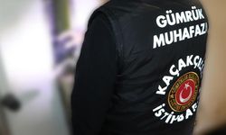 Gümrük Muhafaza ekiplerinden rekor