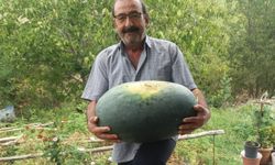 Tam 25 kilogram!