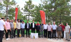 Konya'da kolza ile sağlıklı yağ projesi hayata geçiyor