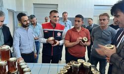 Bozkır'da yeni hasat ballar paketlenmeye başlandı!