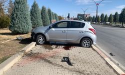 Otomobil karşı şeride geçti