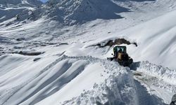 Artvin'de kardan kapanan köy yolları ulaşıma açıldı