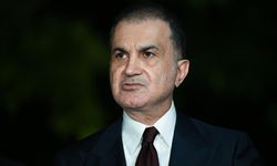 Çelik'ten 'yenidoğan çetesi' açıklaması