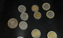 Sahte madeni euro basan şebeke yakalandı