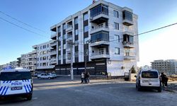 Şanlıurfa'da komşular arasında kavga: 11 yaralı
