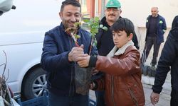 Konya Büyükşehir'den çiftçilere fidan ve fide desteği