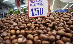 Yerli kestane bolluğu fiyatları düşürdü, Çin kestanesine ilgi yok